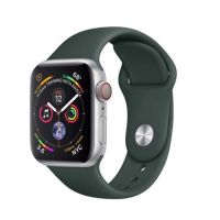 Ремешки для Apple Watch 42/44/45/49 mm Sport Band силиконовый (размер L) <сосновый лес> ― Оптовый PromiseMobile