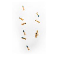 Винты для Apple iPhone 6 внешние (10 шт.) <золотой> ― Оптовый PromiseMobile